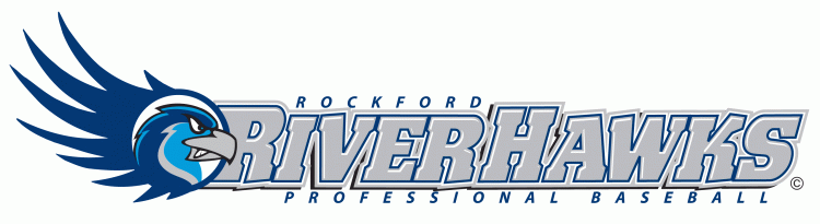 Rockford Riverhawks 2007-Pres Wordmark Logo iron on transfers for T-shirts